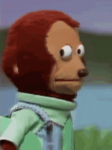Suspicious monkey